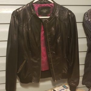 Harley Davidson Leather Jacket